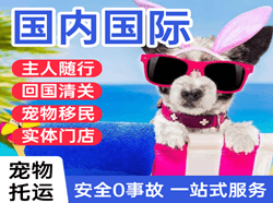 昌北航空邮寄国际宠物托运 【国